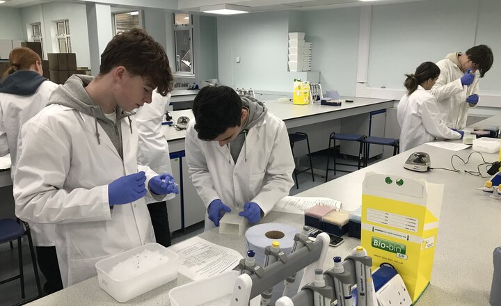 Image of Keele University Opportunity for Year 13 Biologists