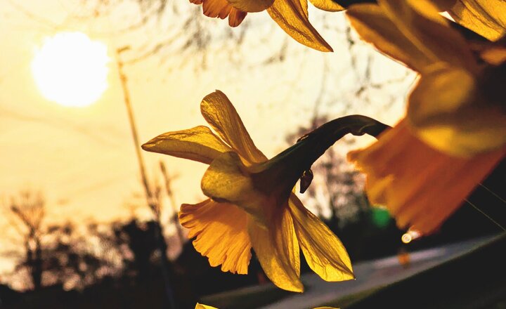 Image of Spring in a Frame Winners Announced