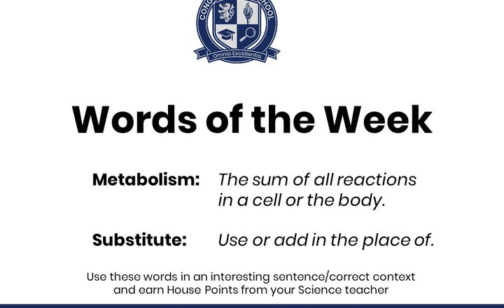 Image of Science Words of the Week