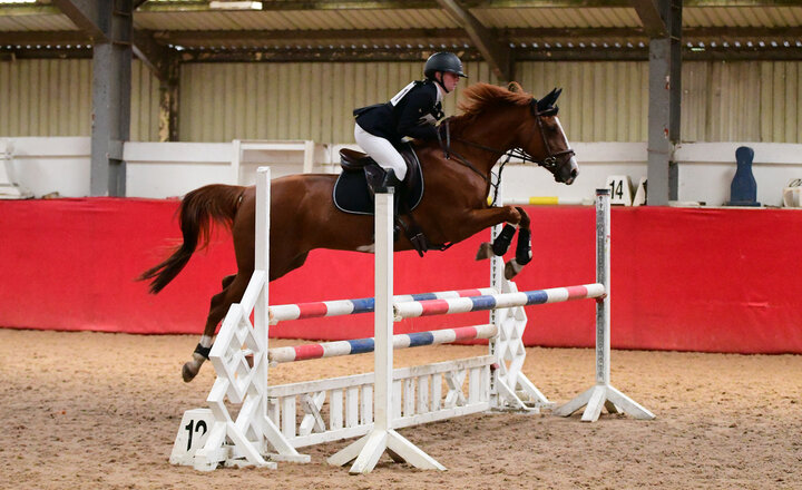 Image of Belle Qualifies for National Championships