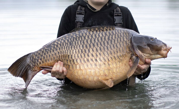 Image of Landon Lands a Monster Carp