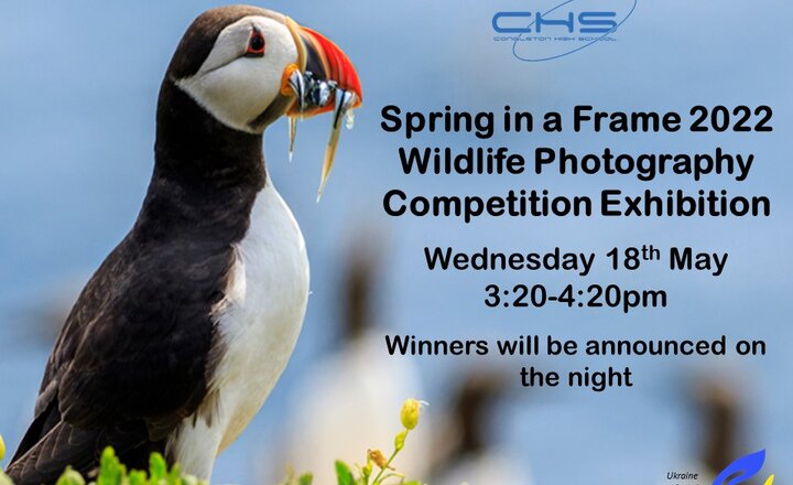 Image of CHS Hosts Congleton Children's Wildlife Competition Exhibition