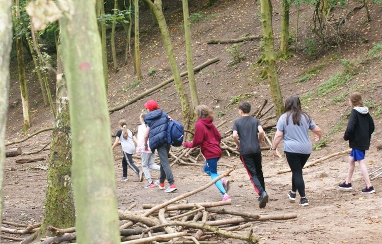Image of Year 7 Build Teams, Friendships and Shelters at Astbury Mere
