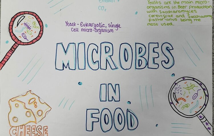 Image of Microbes Ate Year 8's Lunch!