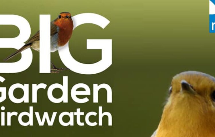 Image of Students Help the RSPB Count Birds