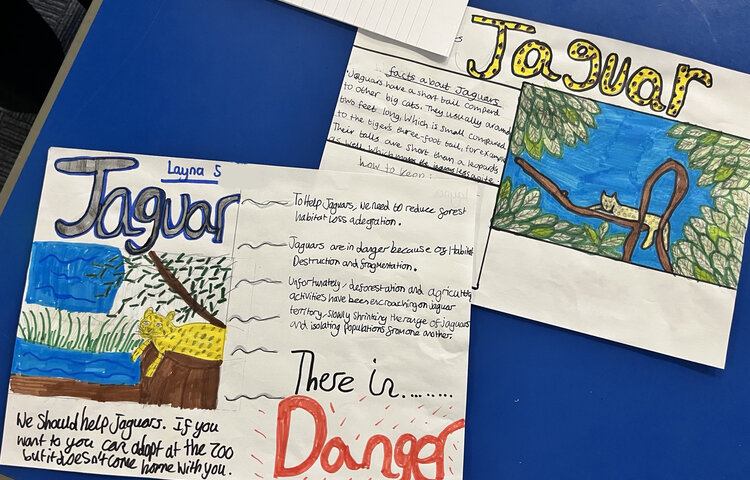Image of MFL Club Investigate Endangered Animals