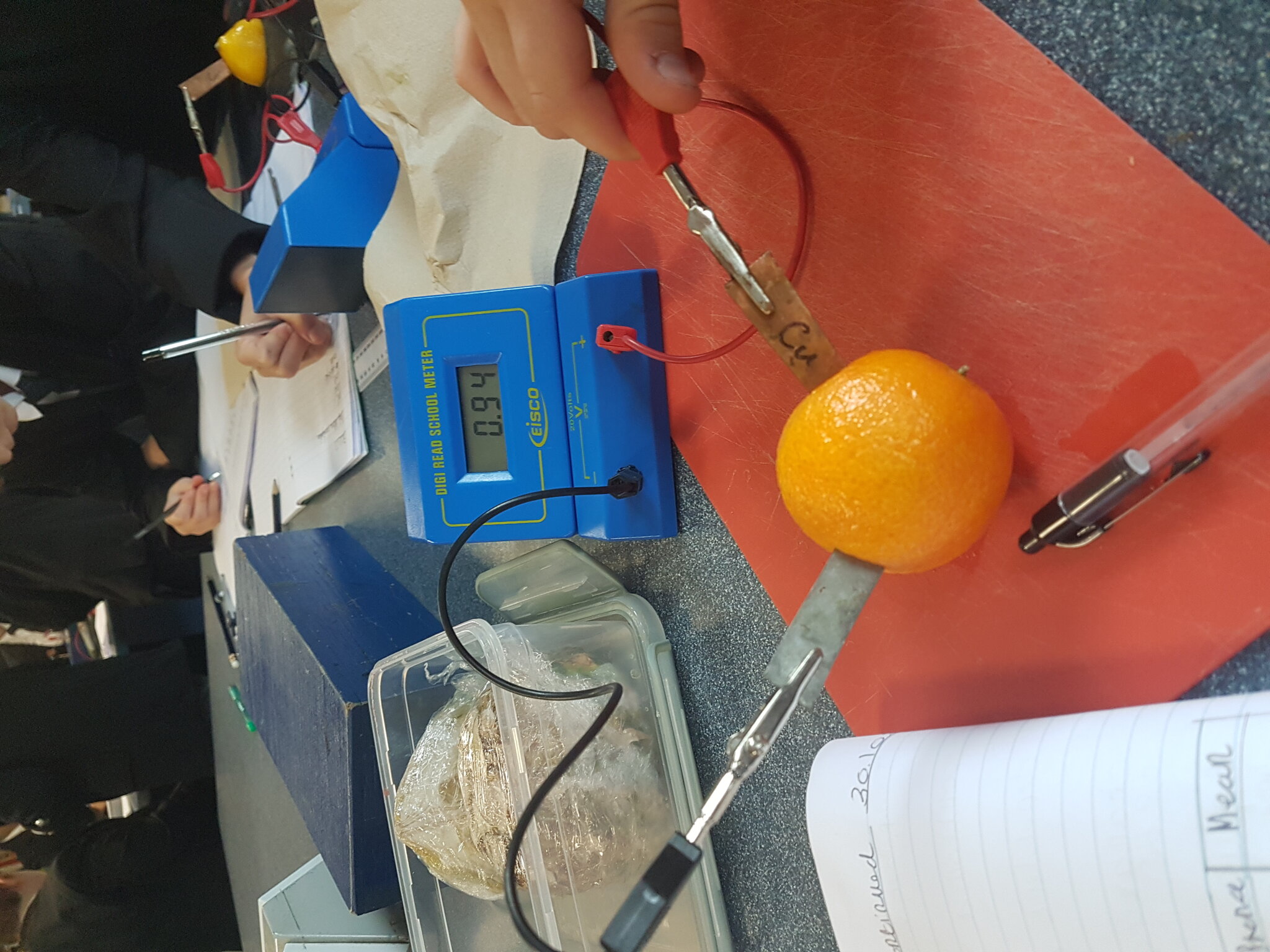 Image of Year 7 Scientists Investigate Fruit Power!