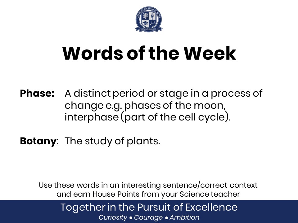 Image of Science Words of the Week