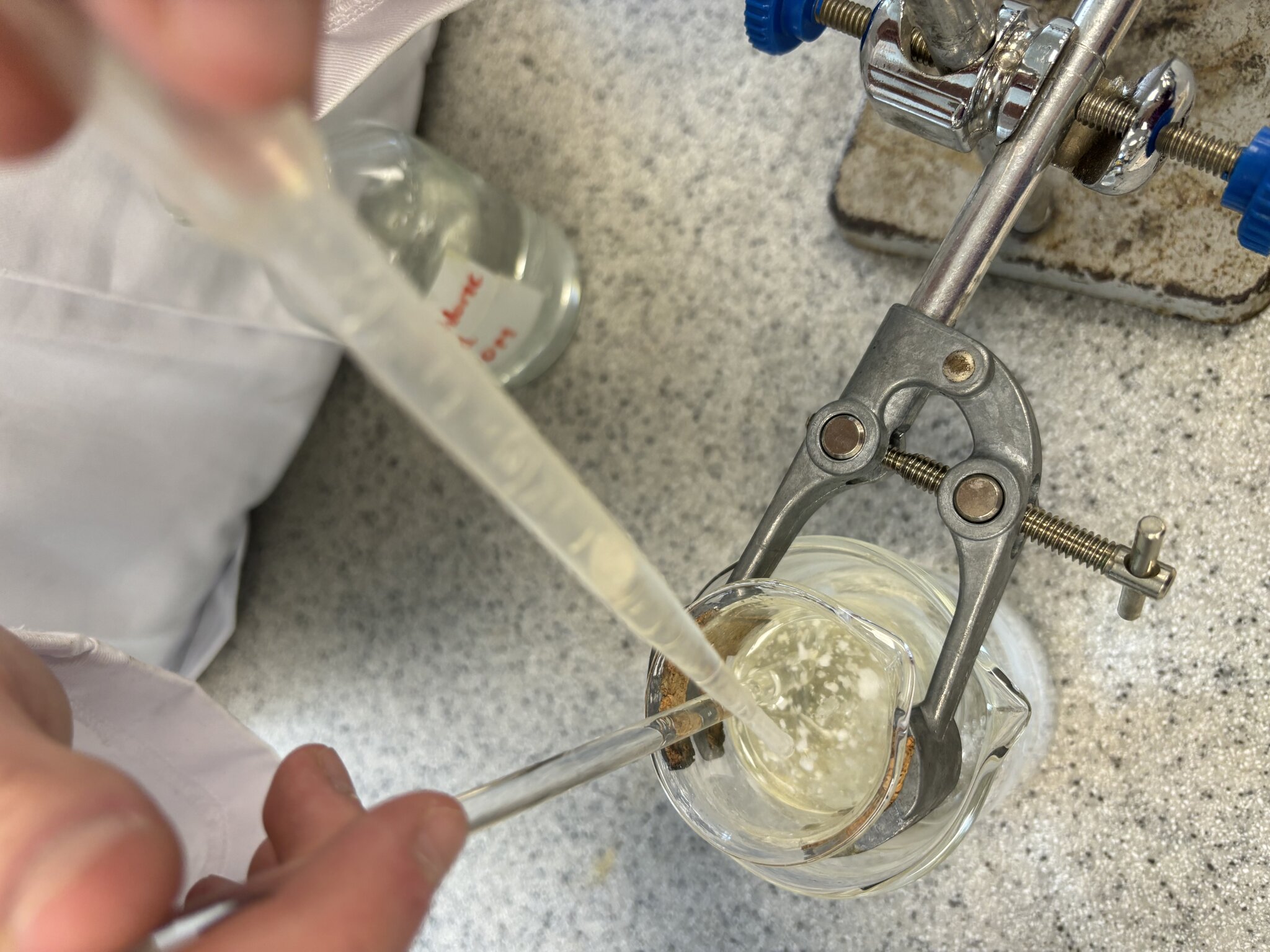 Image of Year 12 Chemists Learn More About Aspirin