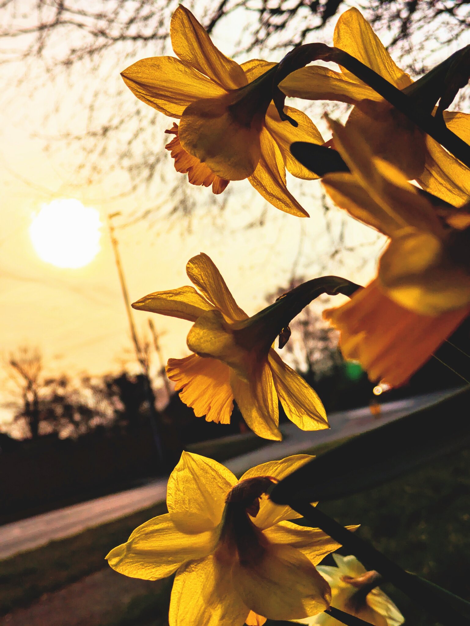 Image of Spring in a Frame Winners Announced