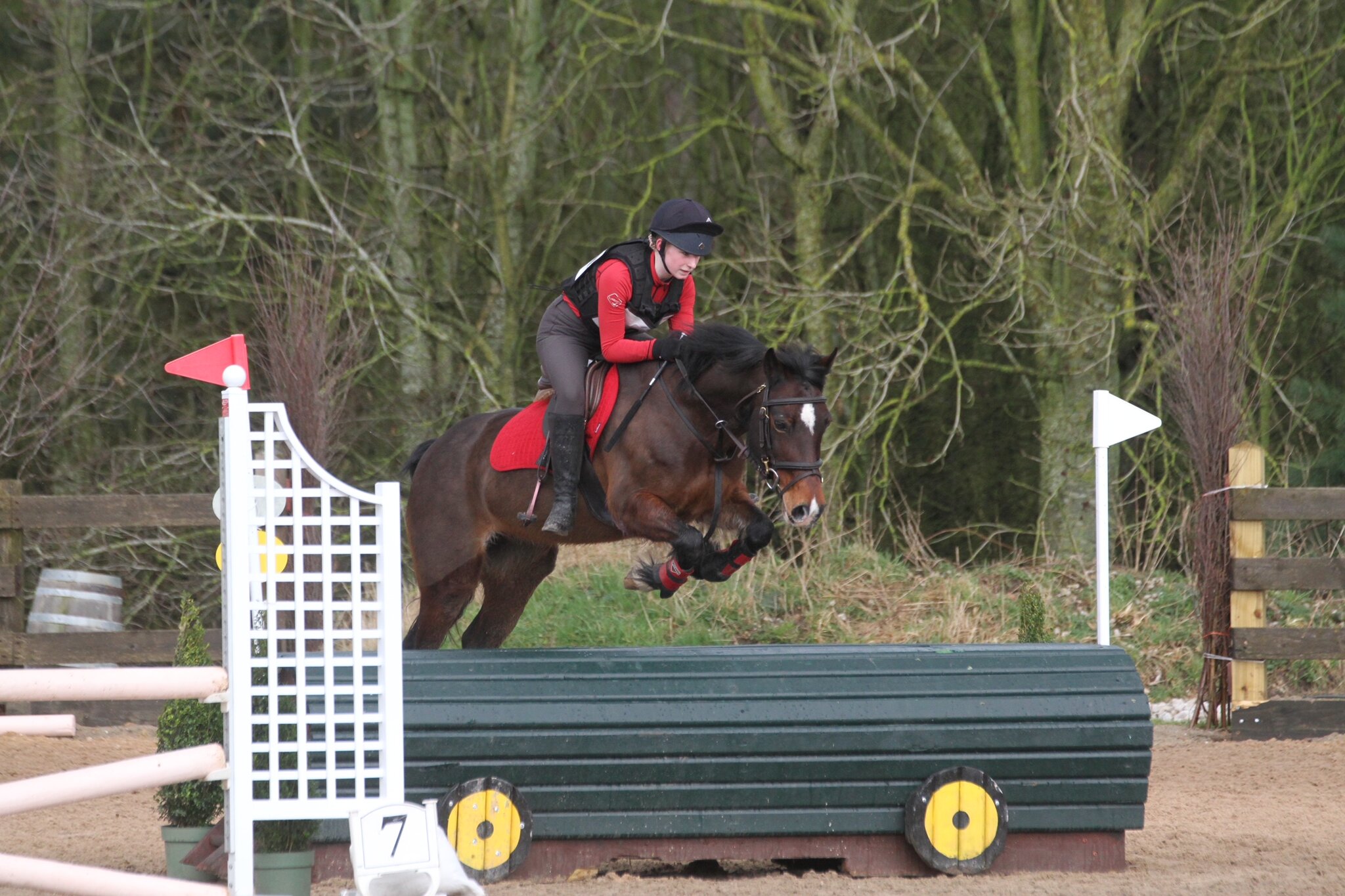 Image of Belle Qualifies for Hickstead