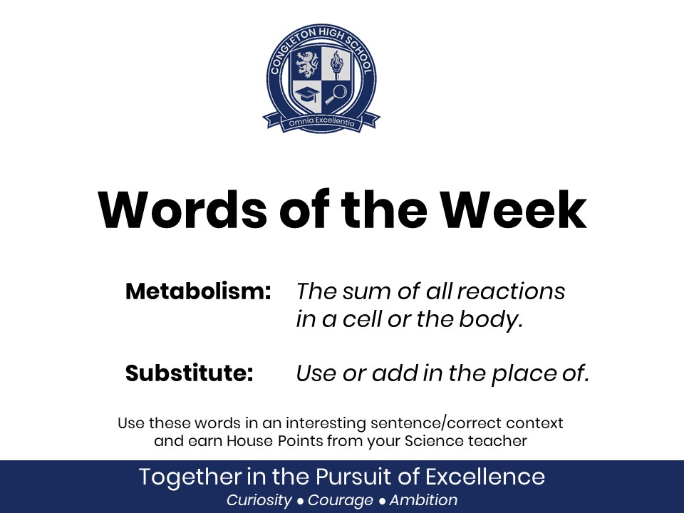 Image of Science Words of the Week