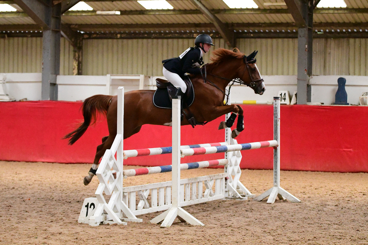 Image of Belle Qualifies for National Championships