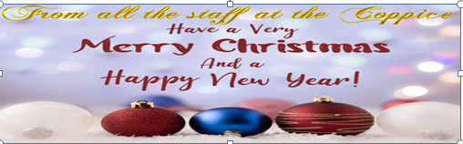 Image of Merry Christmas and Happy New Year