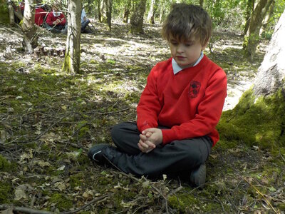 Image of Class 3 Woodland Walk