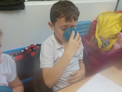 Image of Healthy Eating Class 3