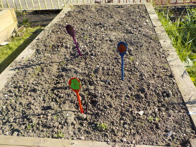 Image of Gardening Club Update