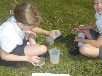 Image of Whole School Mathematics