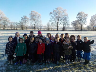 Image of Winter Wonderland