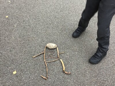 Image of Animals including humans - Skeletons