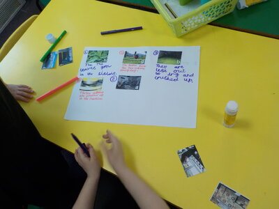 Image of Class 2 Fairtrade