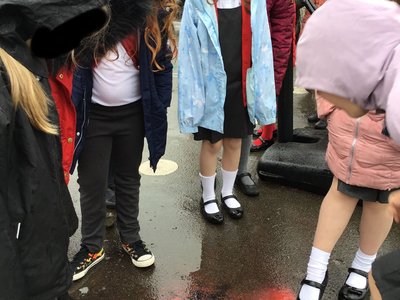 Image of Class 3 Science