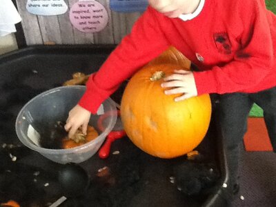 Image of Exploring pumpkins and making pumpkin soup 