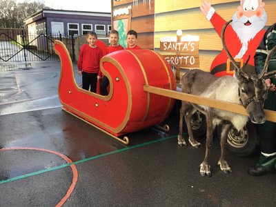 Image of Reindeer Visit!