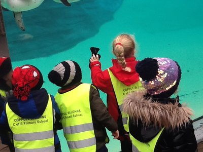 Image of A Great Day Out at Chester Zoo!