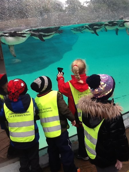 Image of A Great Day Out at Chester Zoo!