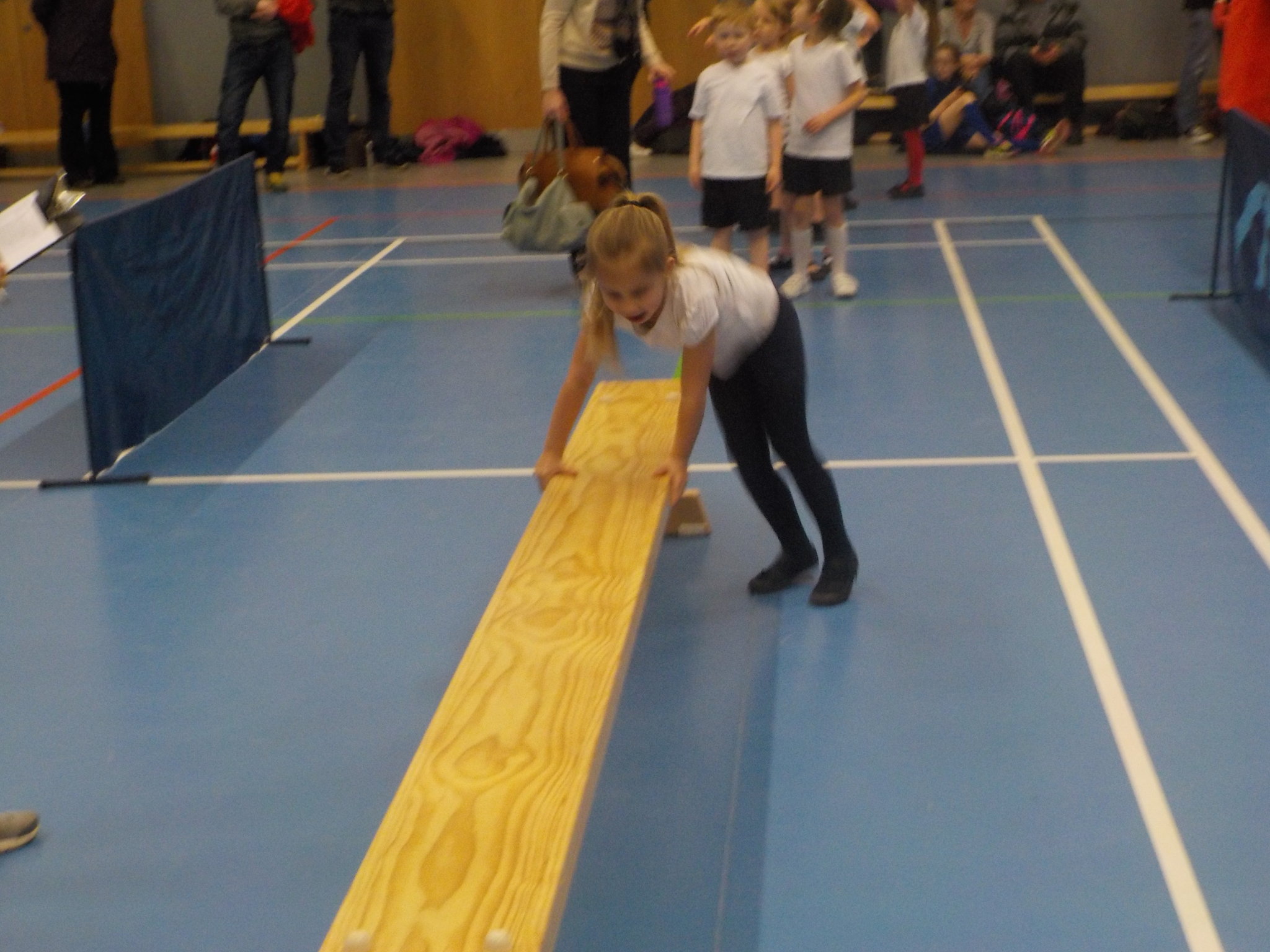 Image of Infant Agility Competition