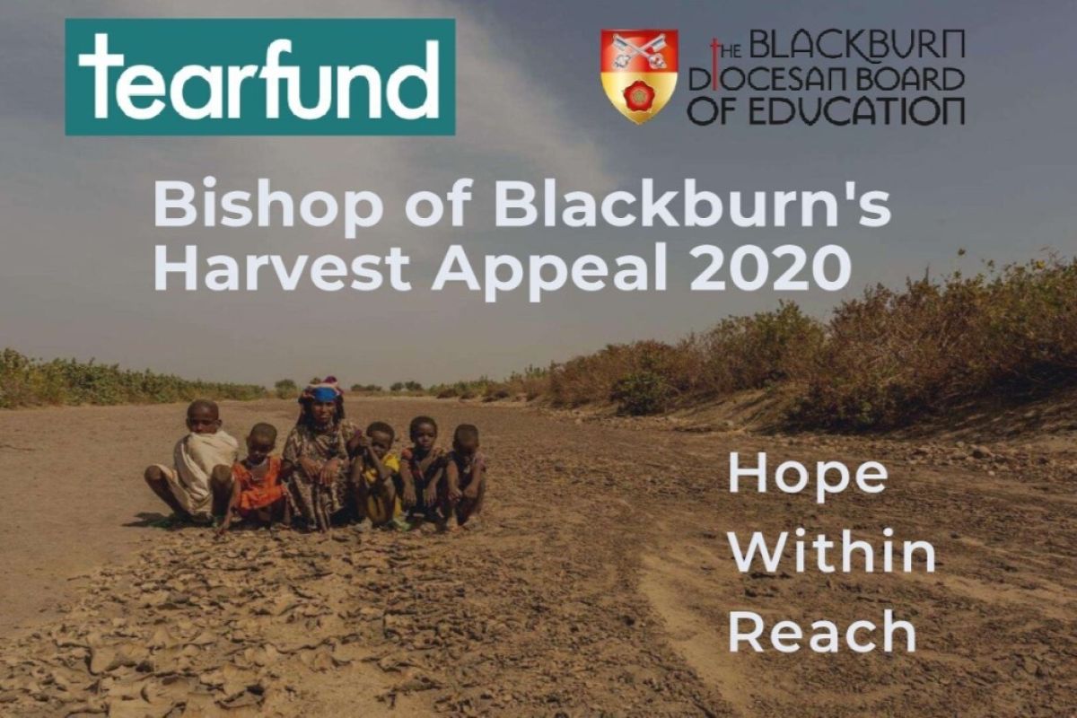 Image of Harvest 2020