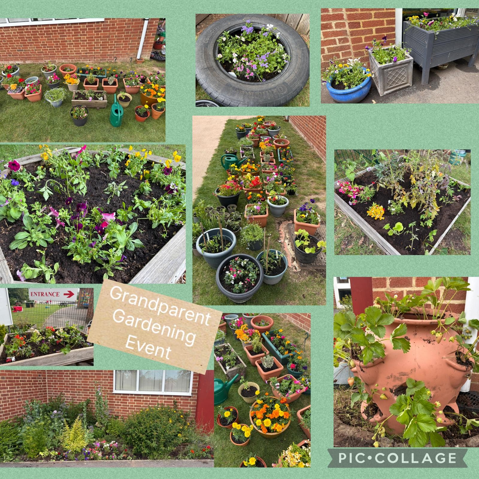 Image of Grandparent Gardening Day 2026