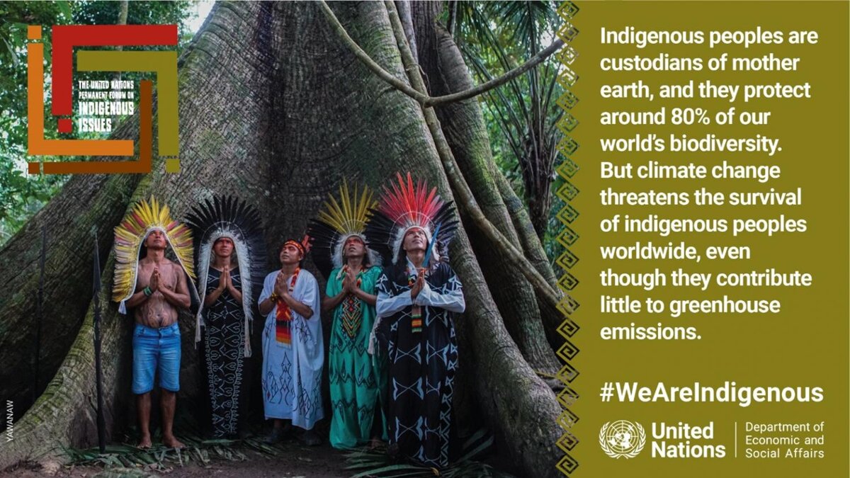 Image of International day of the world’s Indigenous people