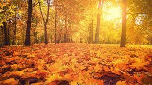 Image of Autumn equinox