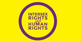 Image of Intersex day of solidarity