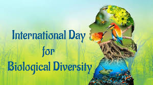 Image of International day for biological diversity