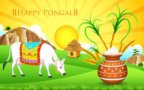 Image of  Pongal ** Hindu