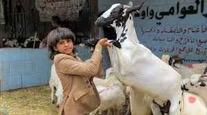 Image of Eid al-Adha * Islam