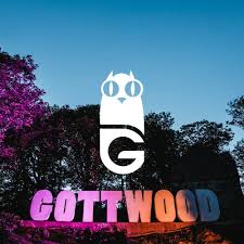 Image of Gottwood Festival (Anglesey)