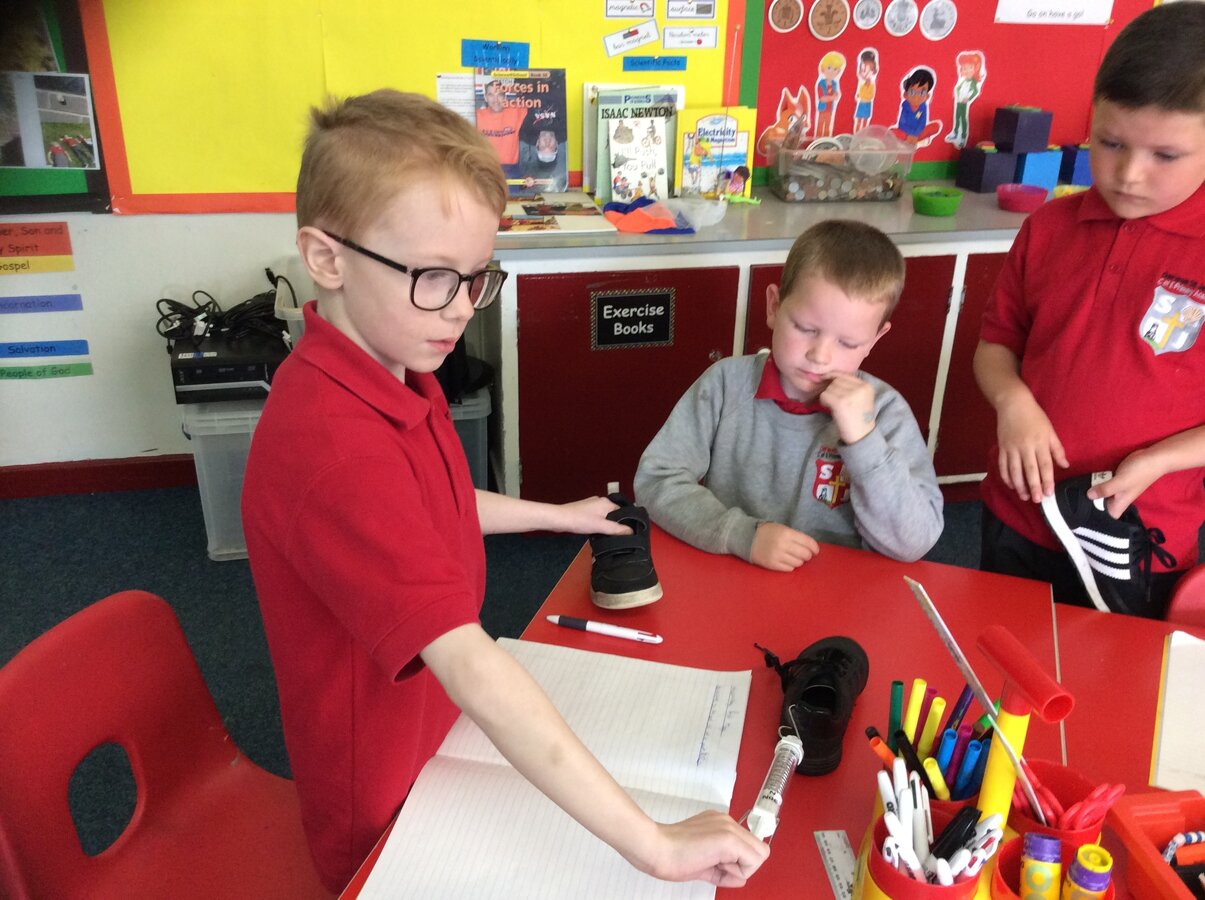 Year 3 Science Summer 1 | Darwen St James’ C of E Primary Academy