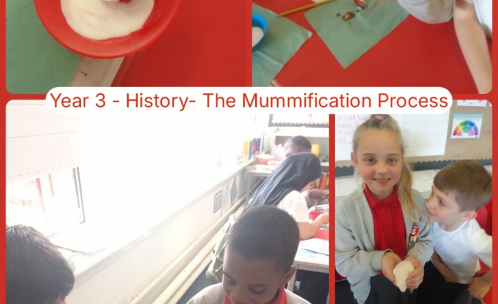 Image of Year 3 - Science - The Mummification Process