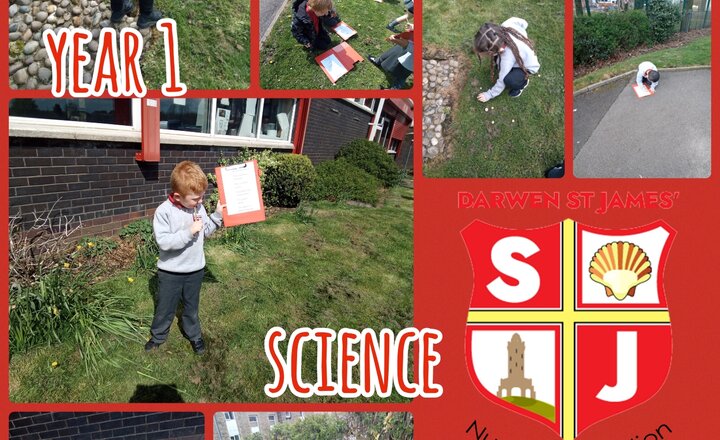 Image of Year 1 - Science - Plants