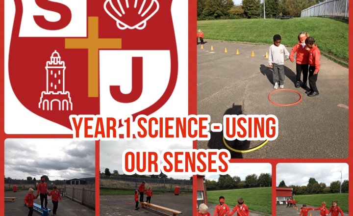 Image of Year 1- Science-Using our senses