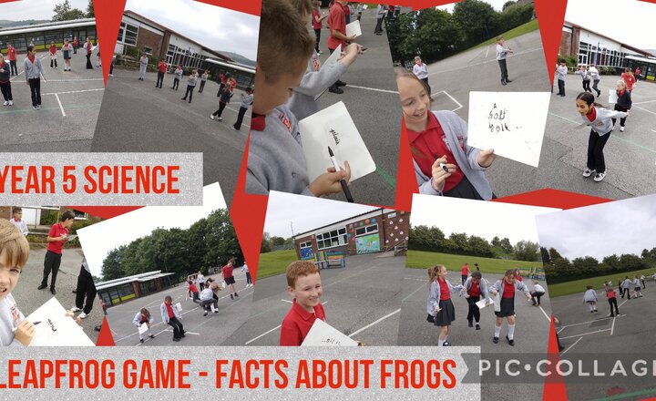 Image of Year 5 Science - Leapfrog Game: Facts about Frogs