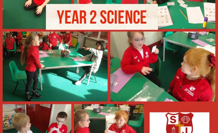 Image of Year 2 Science - Guess the Lifecycle Stage!