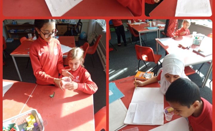Image of Year 5 Science - Dissolving