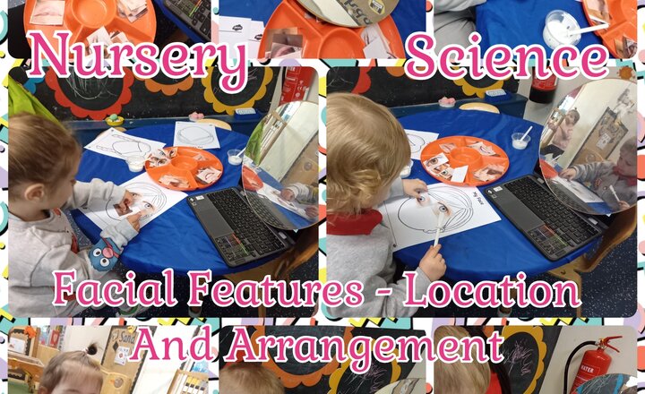 Image of Nursery - Science - Facial Features, Location And Arrangement