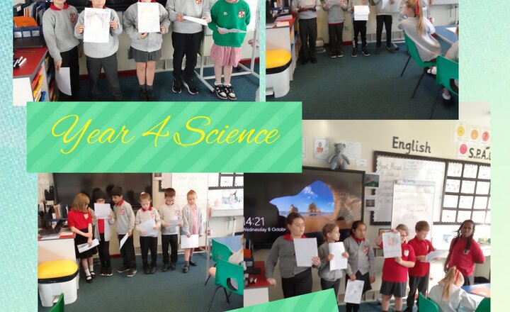 Image of Year 4 Science - Presenting Data