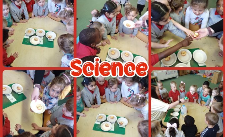 Image of Nursery And Pre-School - Science - Food Decomposition  